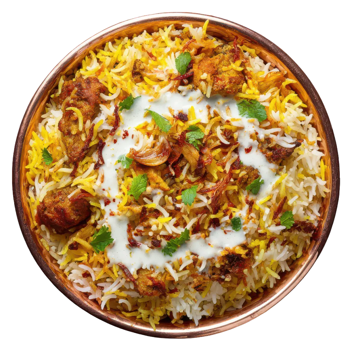 Hyderabadi Biryani