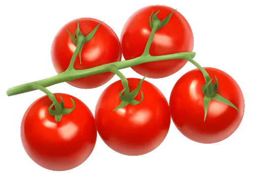 Tomato Bunch